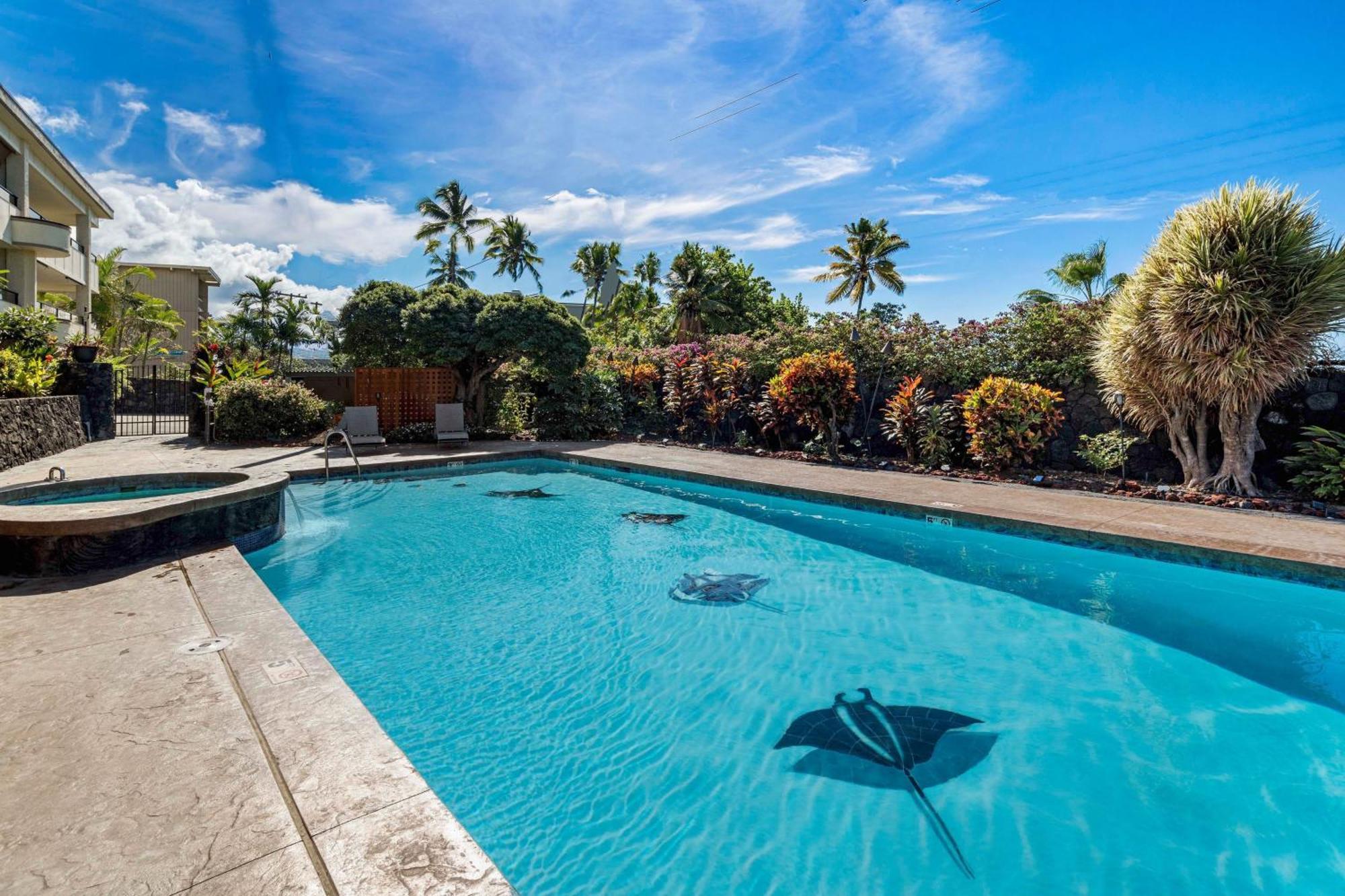 Direct Oceanview Paradise In A Luxury Condo 2B2B,Ac Kailua-Kona Eksteriør bilde